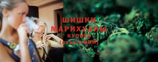 сатива Вязьма