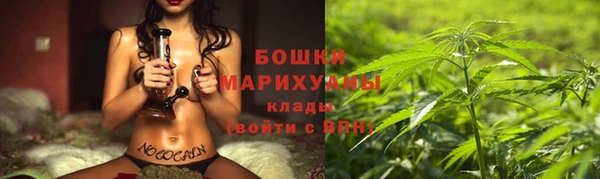 прущая мука Вяземский