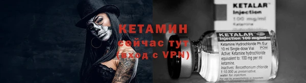 прущая мука Вяземский