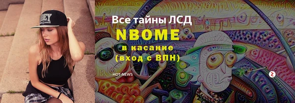 прущая мука Вяземский
