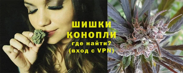 прущая мука Вяземский