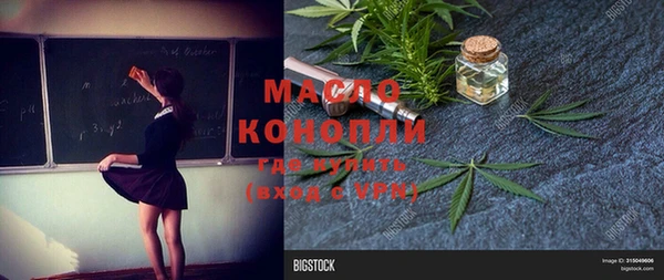 сатива Вязьма