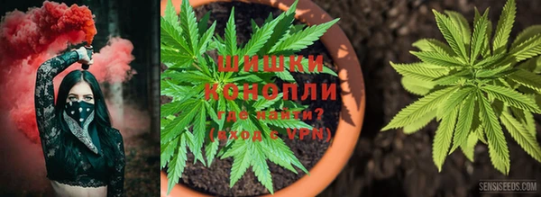 прущая мука Вязники
