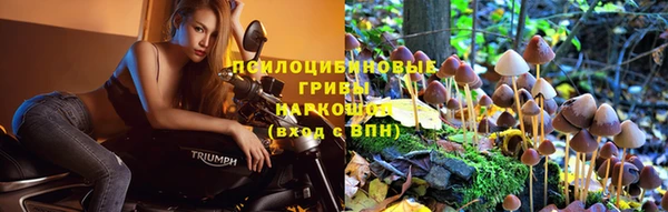 сатива Вязьма