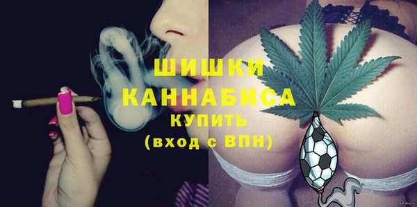 прущая мука Вяземский