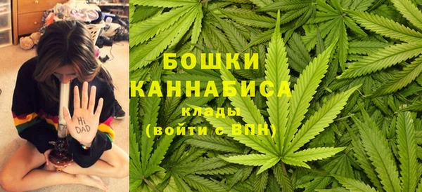 прущая мука Вязники