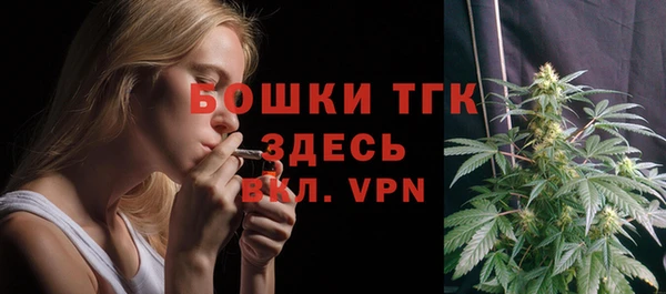 прущая мука Вяземский